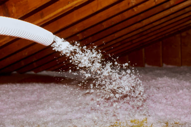 Best Commercial Insulation Contractor  in Pimlico, SC