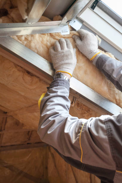Best Professional Insulation Contractor  in Pimlico, SC