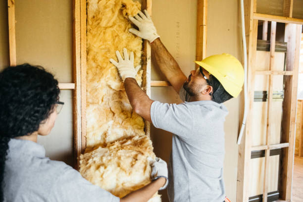 Attic Insulation Near Me in Pimlico, SC