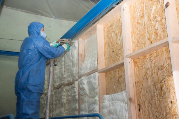 Best Insulation Repair Services  in Pimlico, SC