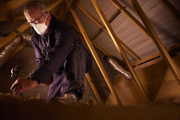 Best Cellulose Insulation  in Pimlico, SC